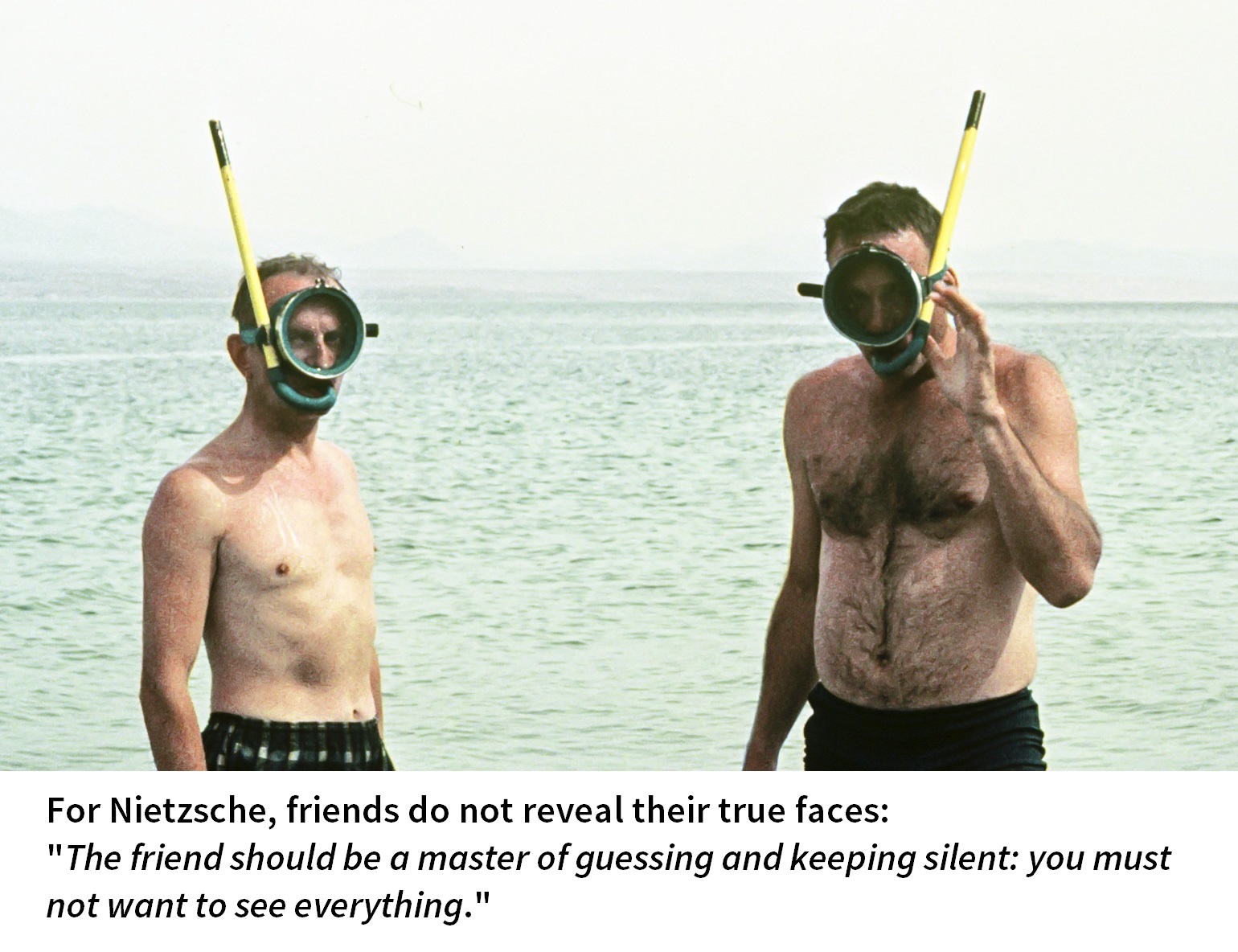 Nietzscheonfriends