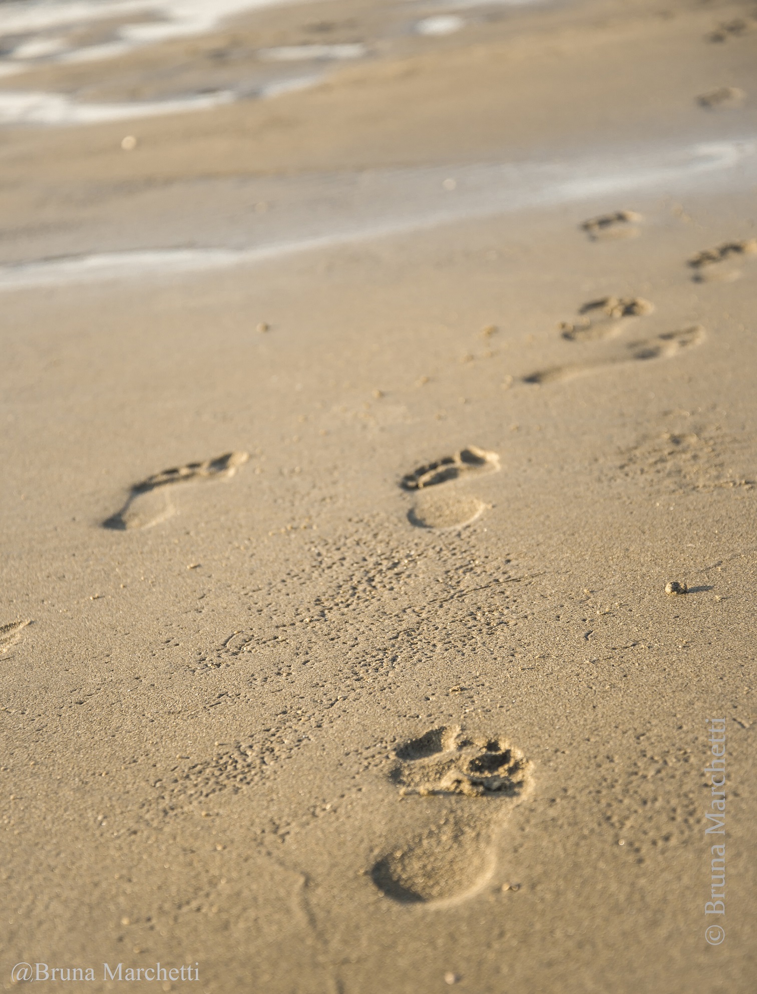 Footprints of the self Bruna Marchetti