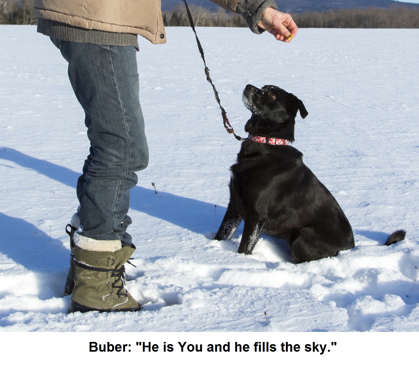 Buber you fills the sky BM8A1325