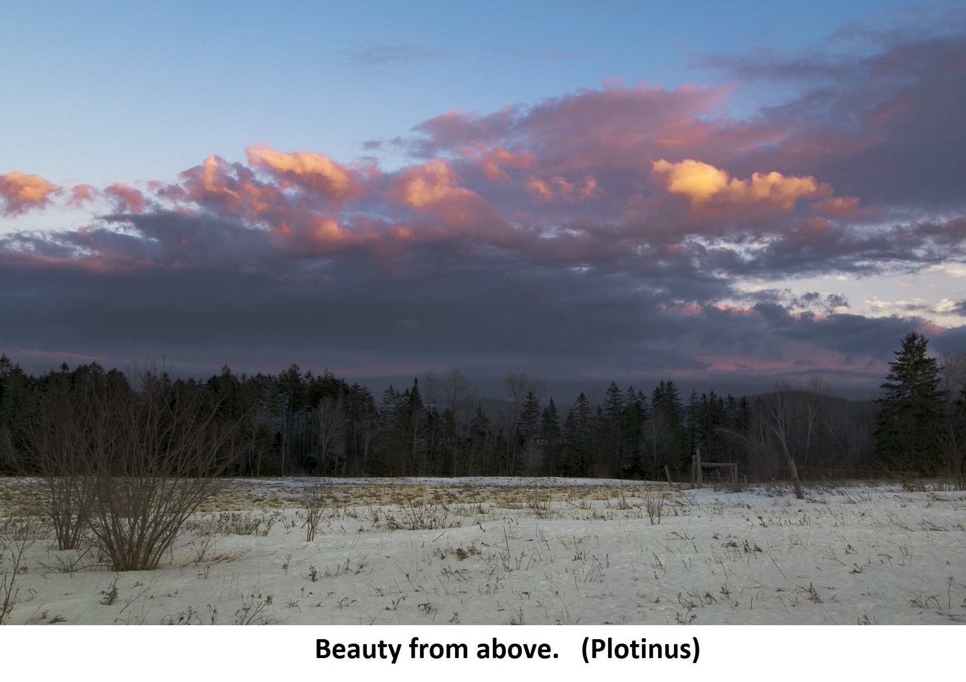 Beauty from above Plotinus
